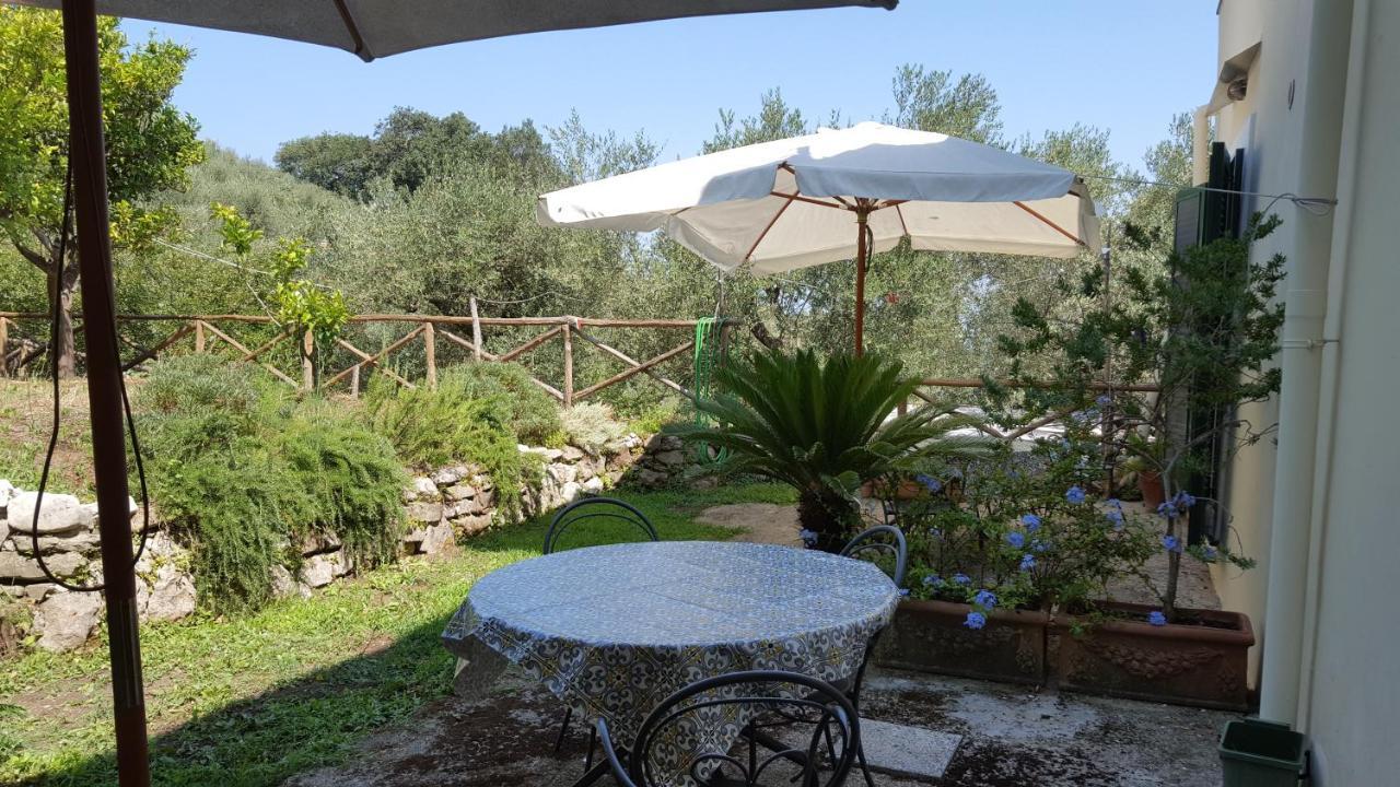 Gli Ulivi Agriturismo サンタニェッロ エクステリア 写真