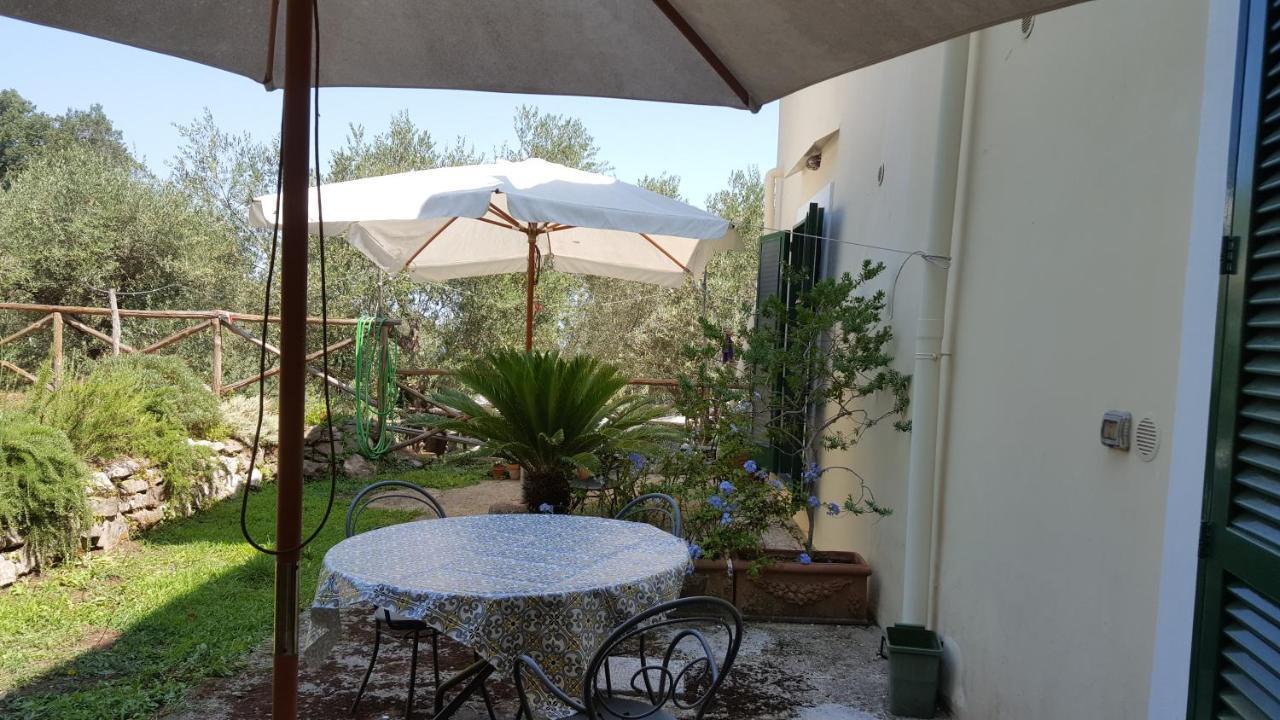 Gli Ulivi Agriturismo サンタニェッロ エクステリア 写真