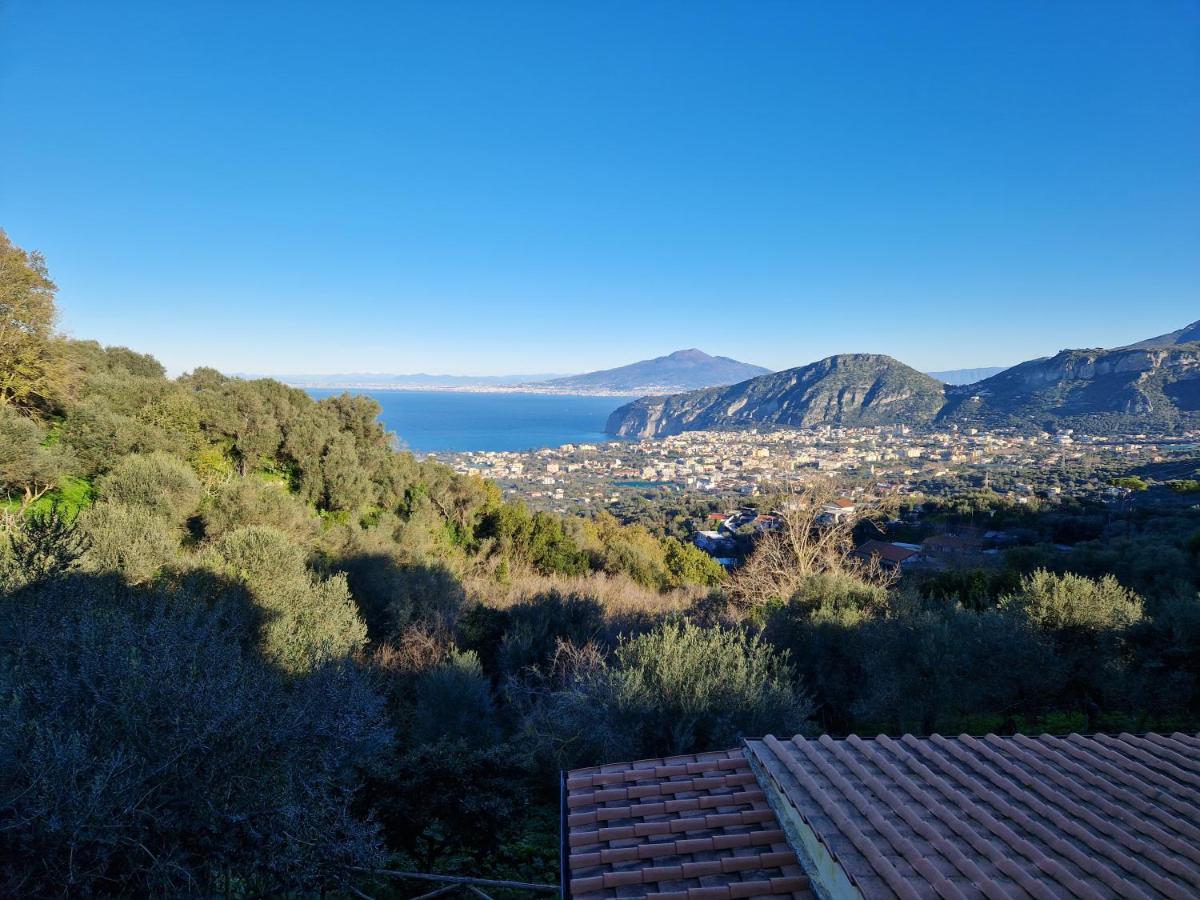 Gli Ulivi Agriturismo サンタニェッロ エクステリア 写真