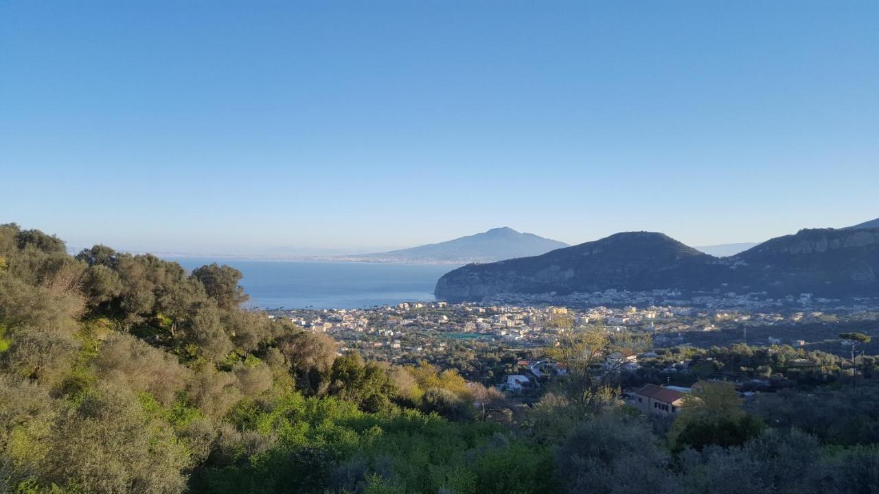 Gli Ulivi Agriturismo サンタニェッロ エクステリア 写真