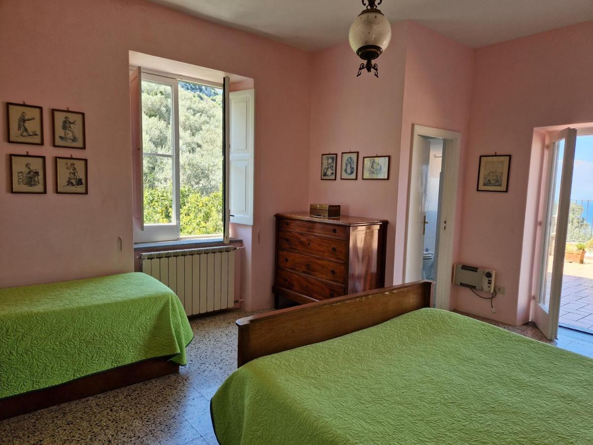 Gli Ulivi Agriturismo サンタニェッロ エクステリア 写真