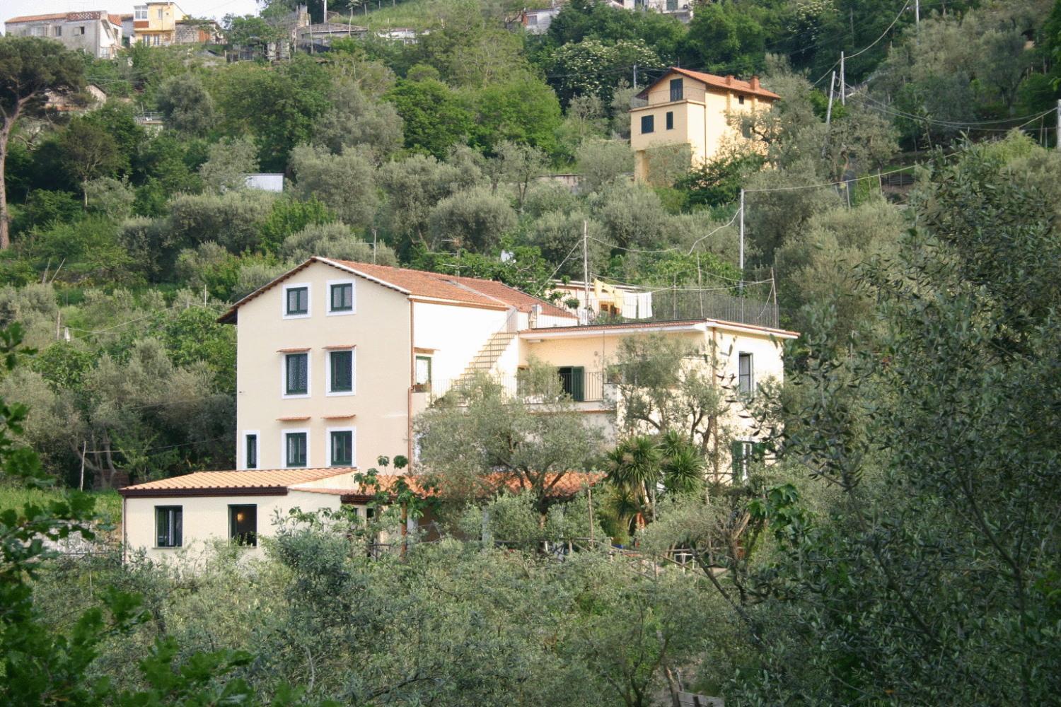 Gli Ulivi Agriturismo サンタニェッロ エクステリア 写真