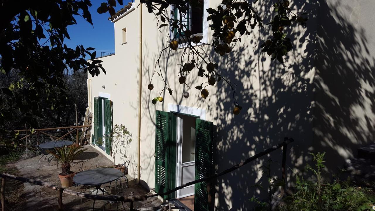 Gli Ulivi Agriturismo サンタニェッロ エクステリア 写真