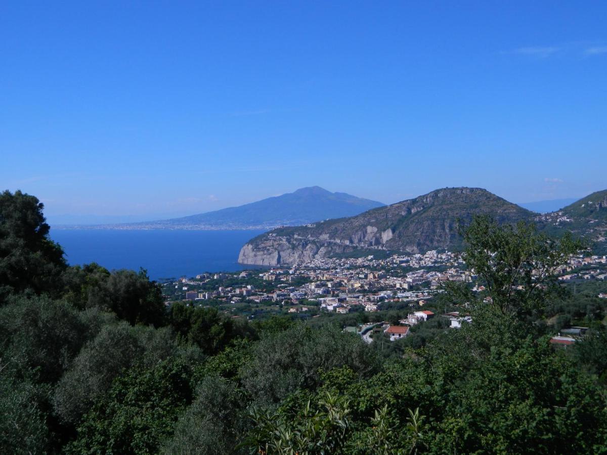Gli Ulivi Agriturismo サンタニェッロ エクステリア 写真