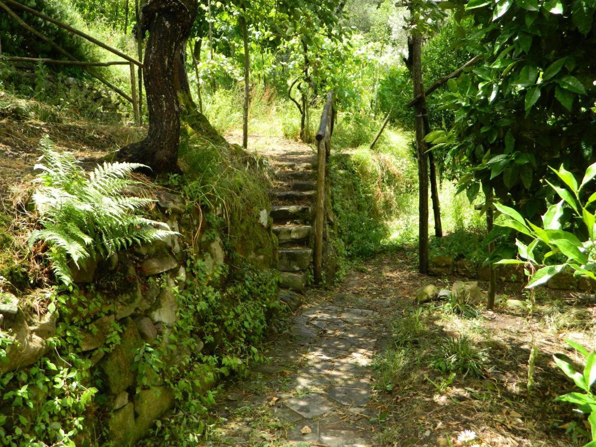 Gli Ulivi Agriturismo サンタニェッロ エクステリア 写真